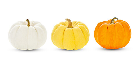 pumpkins isolated on white background