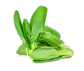 Bok choy (chinese cabbage) isolated on white.