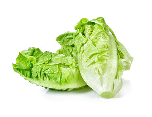 Baby Romaine Lettuce on white background