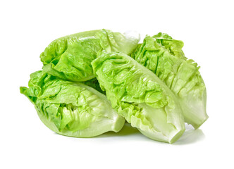 Fototapeta premium Baby Romaine Lettuce on white background