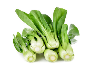Bok choy (chinese cabbage) isolated on white. - obrazy, fototapety, plakaty