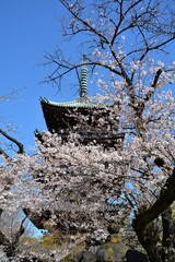 上野東照宮