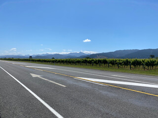 Fototapeta premium Roadside vineyards in the Marlborough, New Zealand