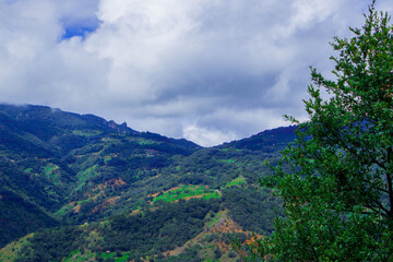 Fototapeta premium foto de paisaje con cielo nublado azul, montañas y en primer plano un árbol verde