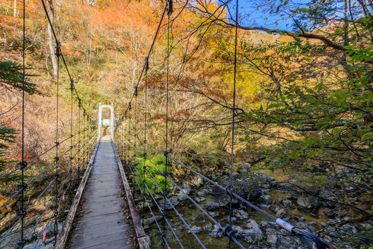 秋のシオカラ谷　大台ヶ原　奈良県　Autumn Shiokara valley Oodaigahara Nara-ken