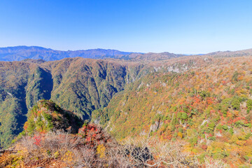 秋の大蛇嵓　大台ヶ原　奈良県　Autumn Daijagura Oodaigahara Nara-ken