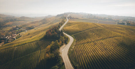 Panorama autunnale sulle vigne nelle Langhe