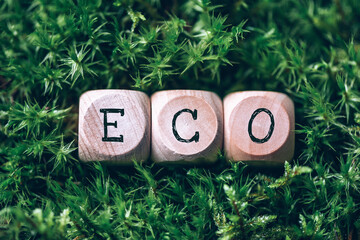 Wooden cubes with word Eco over green grass, forest moss background. Top view. Copy space. Text Eco on craft blocks. Ecology, organic, zero waste, sustainable lifestyle concept. Stop pollution