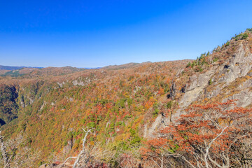 Obraz premium 秋の大蛇嵓近くの高台から見た景色 大台ヶ原 奈良県 View from a hill near Daijagura Oodaigahara Nara-ken