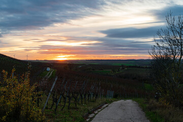 sunset over the Vineyard Tannenberg 