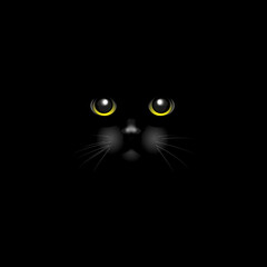 Black cat on a black background.Green eyes. Cat face.