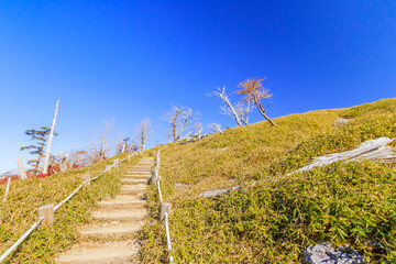 Fototapeta na wymiar 秋の大台ヶ原　日出ヶ岳へと続く登山道　奈良県　Mt.Oodaigahara Trail leading to the Mt.Hidegadake Nara-ken