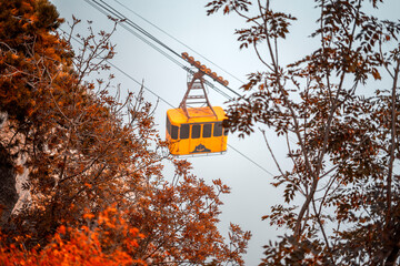 yellow crane on a site