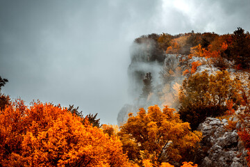 fireautumn in the mountains