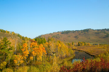  Autumn landscape in siberia. Horizontally. 