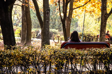 Female is sitting with smartphone in the autumn park. Brunette woman sits with her back on a bench...