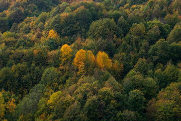 Naklejka na ściany i meble autumn nature landscapes. Sinop, Turkey.