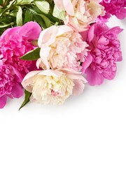 Bouquet of white and pink peony flowers over white background