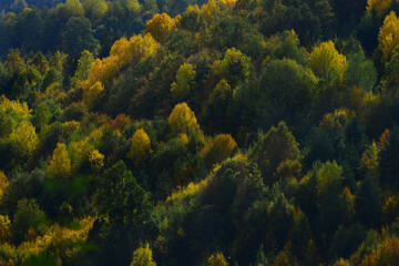 Fototapeta na wymiar autumn nature landscapes. Sinop, Turkey.