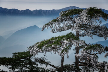 中国安徽黄山市黄山风景区