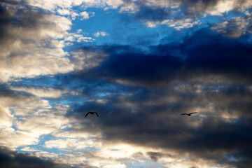 White clouds in the sky