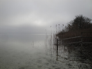 Peninsula Mettnau, Bodensee/Lake of Constance. Winter impression.