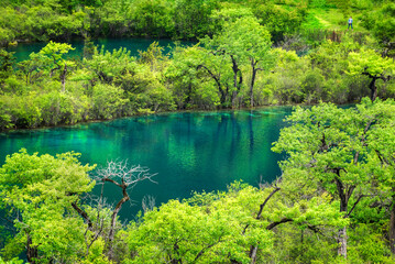 中国四川阿坝九寨沟风光