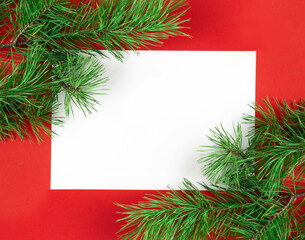 A frame of fir branches frames a white leaf on a red background. Christmas concept. Card. With space for text