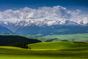 中国新疆喀拉峻大草原