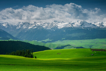 中国新疆喀拉峻大草原