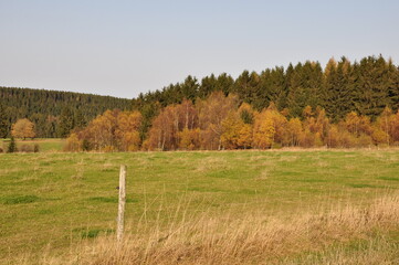 Herbst am Rennsteig