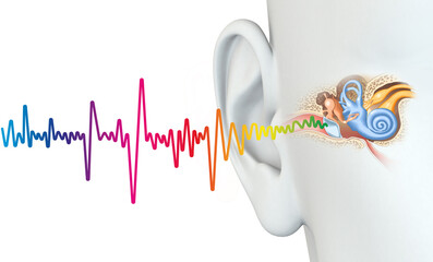 Human ear anatomy with colorful sound wave, medically 3D illustration - obrazy, fototapety, plakaty