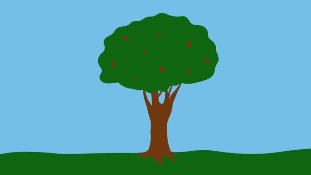 red fruits ripen on an apple tree simple animation 2d video