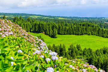 Beautiful landscape in Azores
