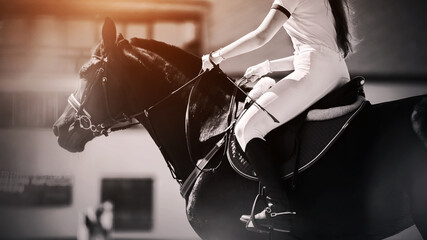 On a black elegant strong horse in the saddle sits a rider with long hair pulled back in a...