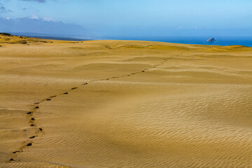 footsteps on the sand dunes