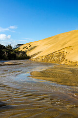 river in the dessert