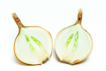 Two parts of fresh sliced onion with green core isolated white background macro