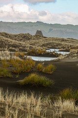 landscape with lake and dunes