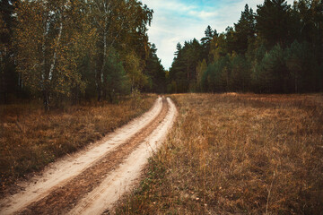 Fototapeta na wymiar Forest landscape with road. A rough road leading into the forest.