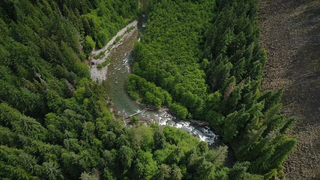 Birds Eye View of Winding River in British Columbia Forest