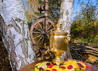 samovar and spinning wheel on the table with fallen leaves on the background of birches and sky