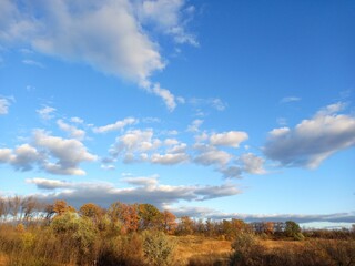 Obraz premium autumn landscape with sky