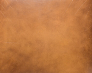 Naklejka premium skin texture for the background