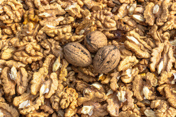 Closeup of big shelled walnuts pile. Walnut kernels and whole walnuts top view. Fresh raw walnuts full of healthy fats, fiber, vitamins and minerals.Eating walnuts to better brain function.Food scene.