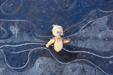 doll broken horror, winter frost ice, background fear abandoned lost child