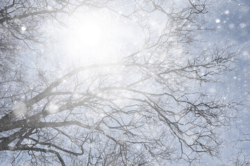 first snow in the park abstract new year view