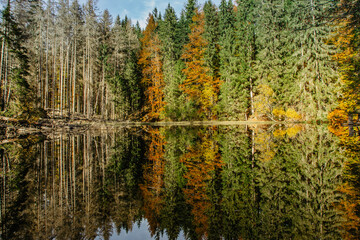 Boubin lake. Reflection of fall trees of Boubin Primeval Forest, Sumava Mountains, Czech Republic.Water reservoir located at the altitude of 925 m. Czech National Nature Reserve.Tip for trip.