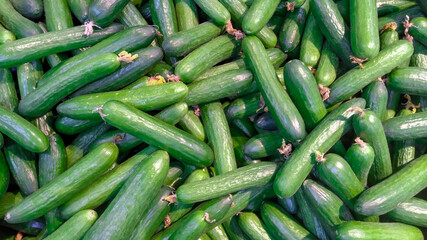 fruit and vegetables
