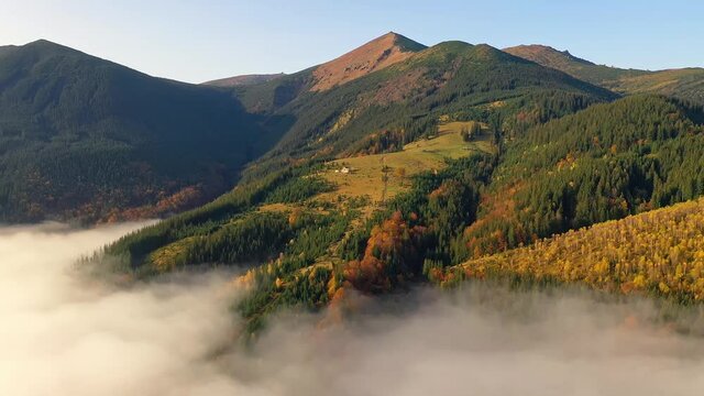 Aerial drone view of the colorful autumn Carpathian mountains. The mountain ranges are covered with coniferous and mixed forests in bright autumn colors. Below you can see the village houses.